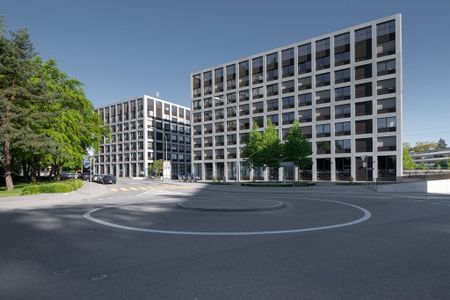 Appartement moderne de 2,5 pièces avec grande terrasse commune sur le toit - Photo 3