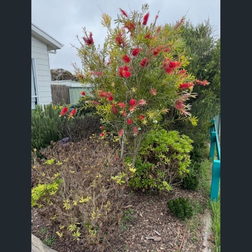 Spacious Courtyard-Style Home - Photo 2