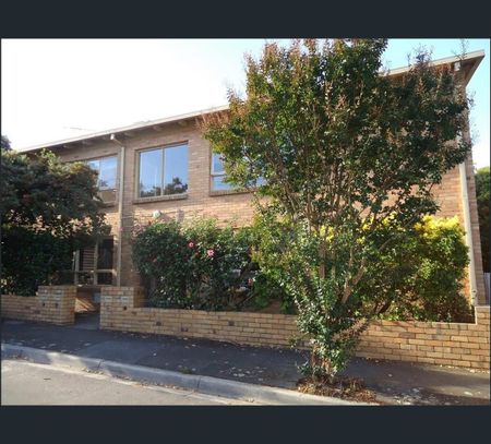 7/28 Selwyn Avenue, Elwood, Vic 3184 - Photo 3