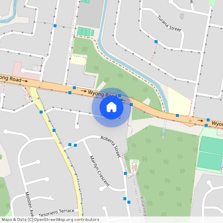 3 Mackay Drive, NSW 2261, Tumbi Umbi