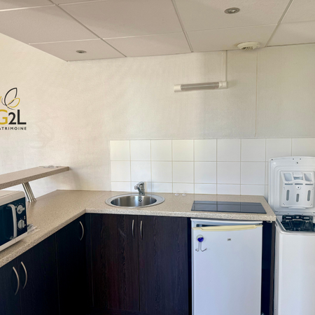 Location Appartement 1 pièce 38m² - Photo 4