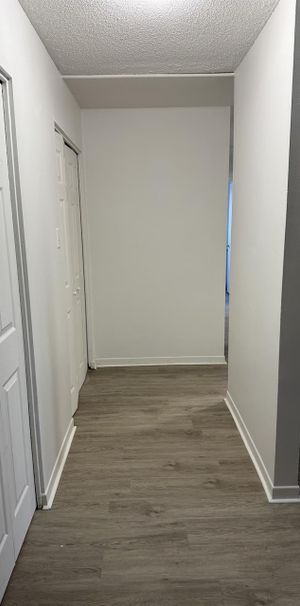 83 Rue Lucien-Brault (Hull) MONT-BLEU - Appartement 2 Chambres, Idéal Pour étudiants CEGEP - Photo 1