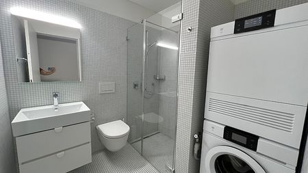 3½ Zimmer-Wohnung in Zürich - Kreis 2 Wollishofen, möbliert, auf Zeit - Foto 3