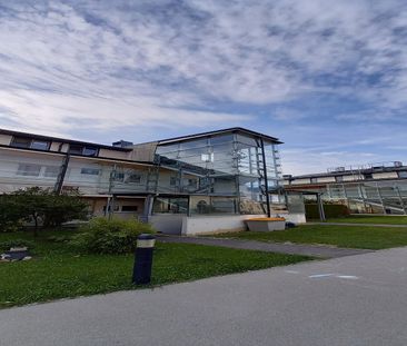 MANNSWOERTH I - Photo 4