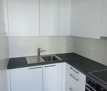 Bel appartement rénové de 2 pièces au parc Vermont / Varembé / ONU - Photo 2