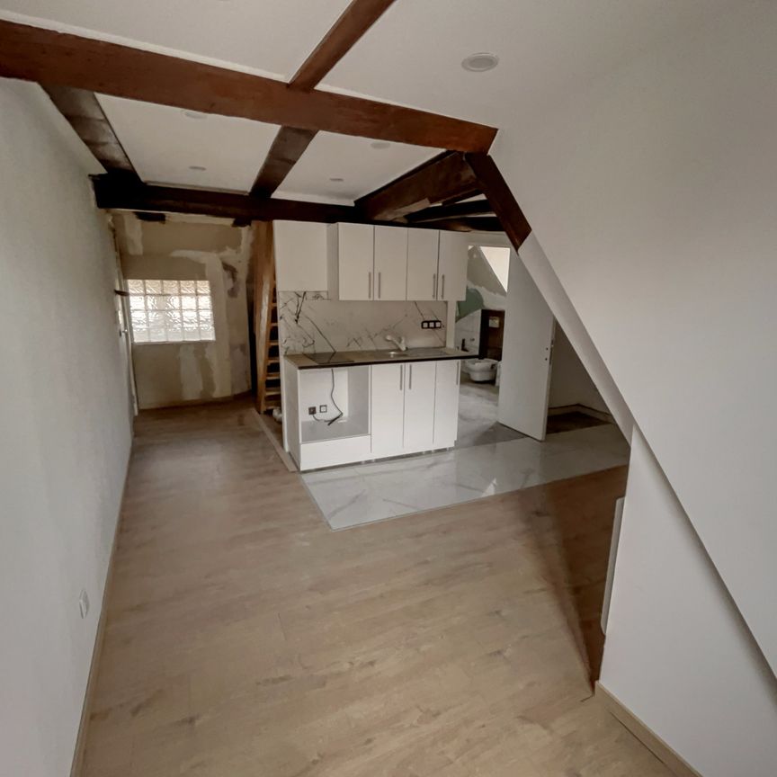 Location Appartement 1 pièce 22m² SELESTAT 67600 - Photo 1