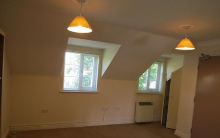 1 bedroom flat to rent - Photo 2