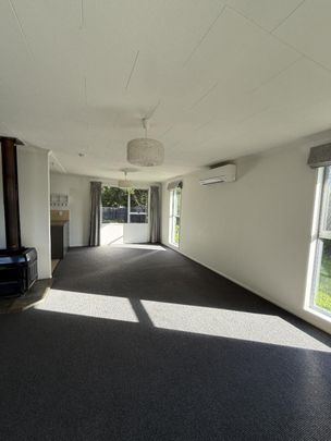 Sunny Family Home in Renwick - Photo 1