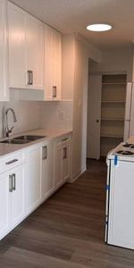 2-Bedroom Fully Renovated close to SkyTrain (Lougheed) - Photo 3