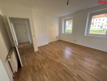 Sonnendurchflutete 2-Zimmer-Wohnung mit herrlichem Grünblick im beliebten Münichholz – liebevoll saniert, mit modernem Wohlfühlbad, praktischen Wohnräumen und perfekter Anbindung für alle, die Ruhe und Stadtnähe zugleich schätzen! - Foto 2
