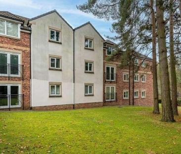 The Pines, Leeds, LS17 - Photo 4