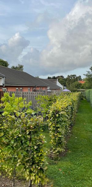 Velindrettet rækkehus med egen p-plads - Photo 1