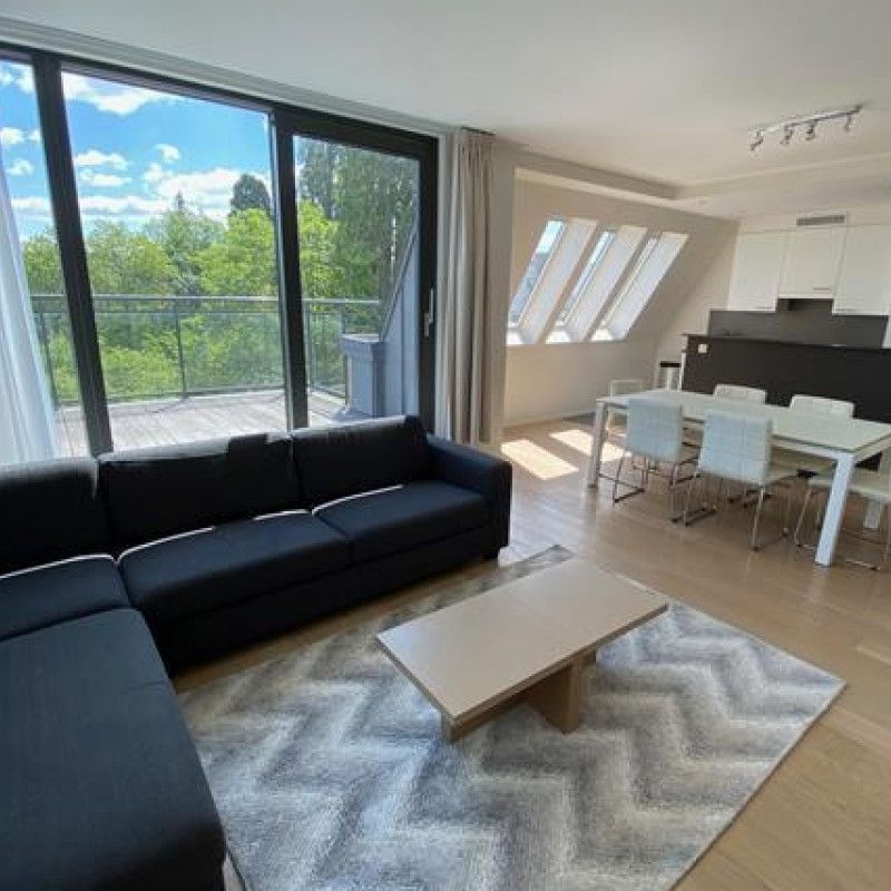 Quartier Franklin Roosevelt Résidence Parklane Bel appartement 2 chambres meublé - Photo 1