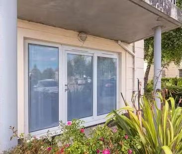 Stepaside Park - Photo 6