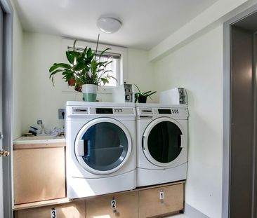 For Lease - 178 Rosemount Avenue Unit# Lower, Toronto, Ontario - Photo 5