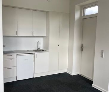 Dejlig 1-værelses lejemål i Ringe - Foto 1