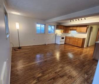 1 Bedroom + Den Basement Suite (South Hillside Mall Area) - Nov 1 - Photo 1