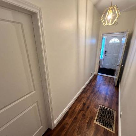 800 Pape Ave #Main - 1 Bedroom Suite w/ HUGE Yard in the Greektown! - Photo 3