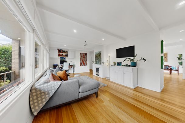 1/3 Estella Street, Glen Iris VIC 3146 - Apartment For Rent | Domain - Photo 1