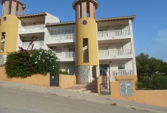 53 Tulipan – Id. 393