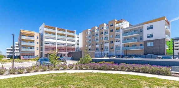 Times Square - Photo 2