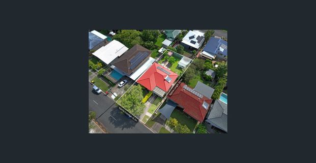 Look At This One! - Photo 1