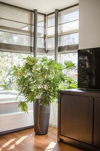 Ringvaartweg 148, 's-Gravenland, 3065AE, Rotterdam - Photo 3