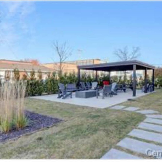 Grand 5 1/2 premier mois novembre à 1518$ droit aux animaux - Photo 1