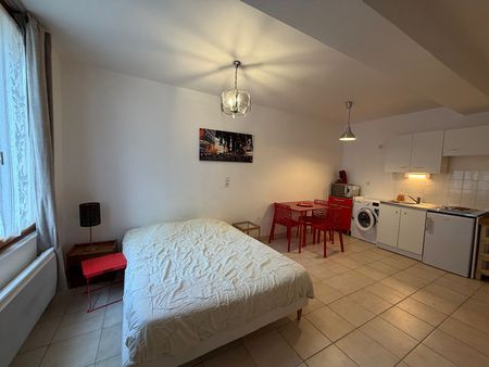 Location Appartement 1 pièce 23m² - Photo 4