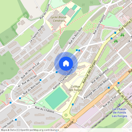 2300, La Chaux-de-Fonds, Rue Abram-Louis-Breguet, 19