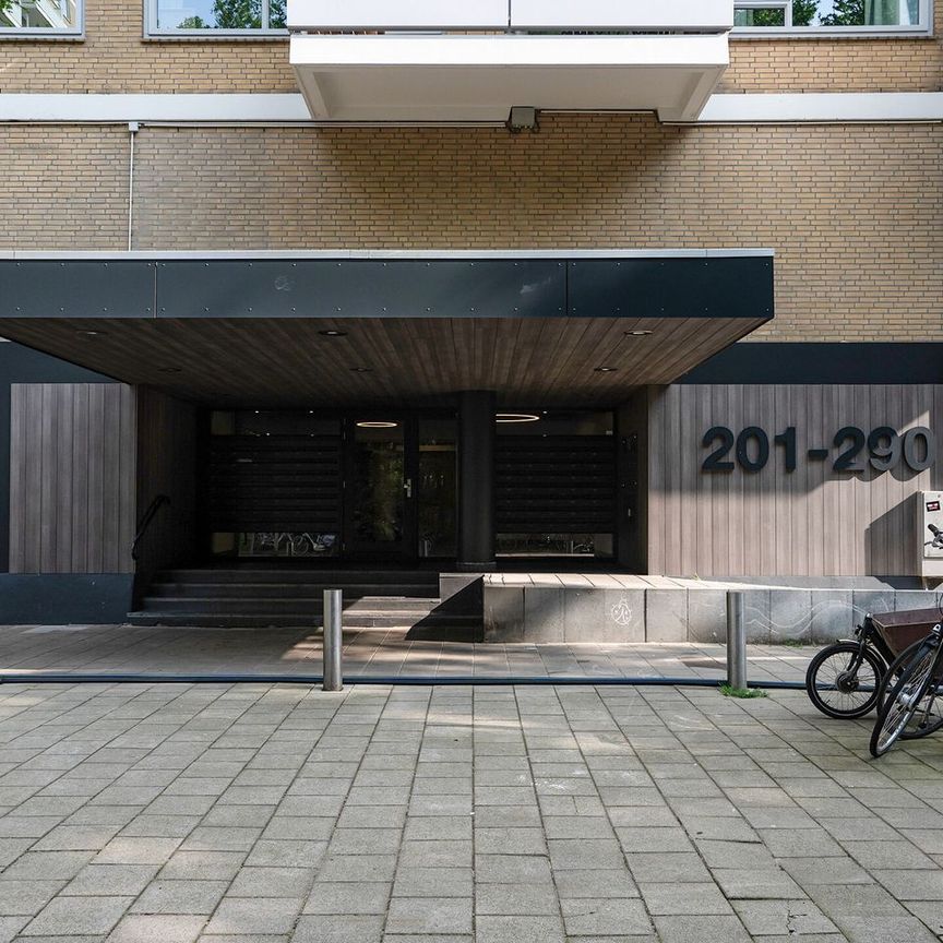 Appartement te huur: Staalmeesterslaan 277 1057 PA Amsterdam - Foto 1