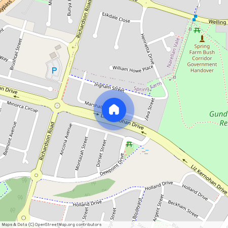32 Marshall Avenue, NSW 2570, Spring Farm