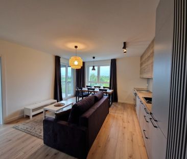 3 pokojowe mieszkanie na wynajem - Zdjęcie 6