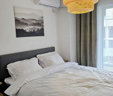 Duplex Lux, 3 camere, zona Parcul Carol, parcare inclusa, proprietar - Photo 3