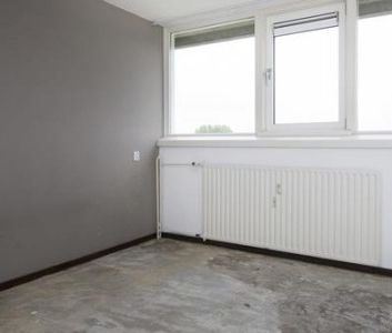 Apartment Den Haag - Meppelweg - Photo 5