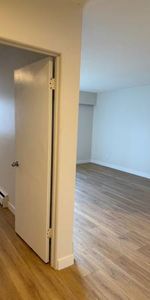 Fully Renovated 1 Bedroom - Photo 4