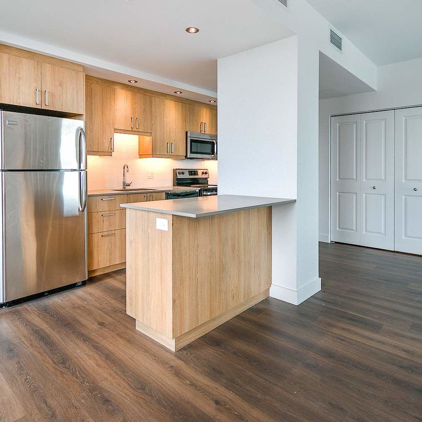 7407 rue Mountain-Sights, Montréal, QC - Photo 1