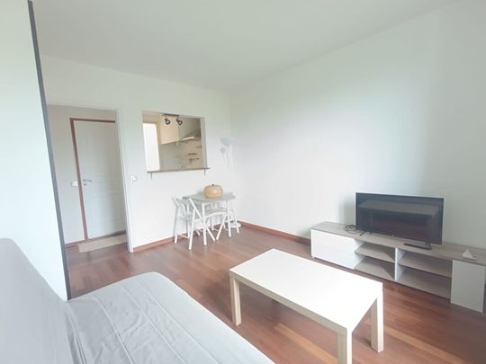 Appartement Saint Maur Des Fosses 1 pièce(s) 20 m2 - Photo 1