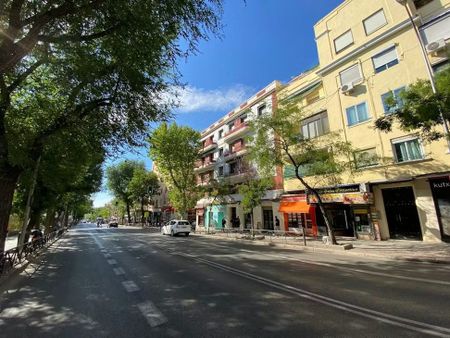 Calle Manuel Pavía, Madrid, Community of Madrid 28031 - Photo 3
