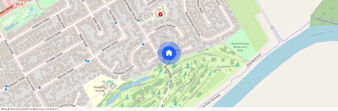 6 Opawa Place, Terrace End, Palmerston North City