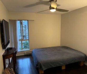 1 bedroom apartment near VGH - Photo 2