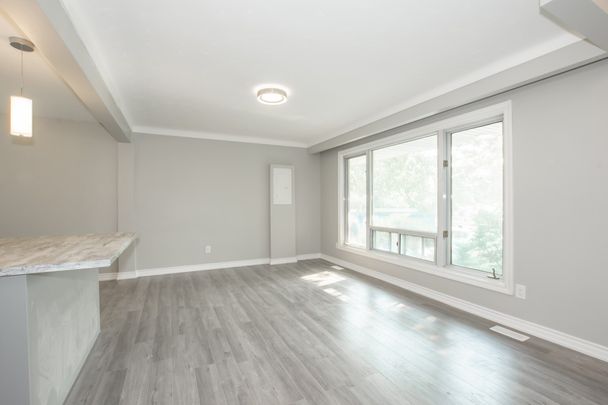 **STUNNING** 3 Bedroom Main Unit in the North End!! - Photo 1