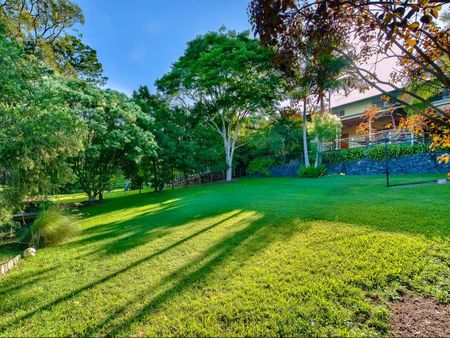 55 Rutherford Street, Stafford Heights QLD 4053 - House For Rent - $650 | Domain - Photo 4