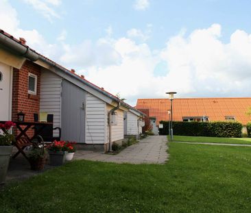 Stillekrogen 50-80 - Photo 1