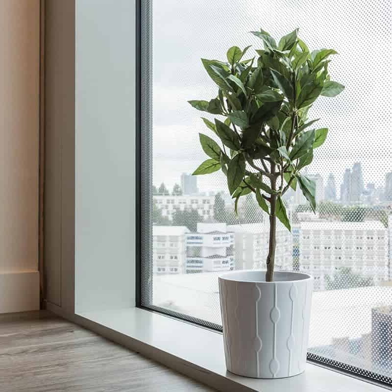 Gold Studio Upper Level - Photo 1