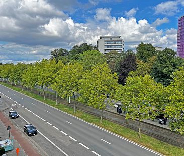 Ruim 1 slaapkamer appartement in felbegeerde Pulouff - Foto 3