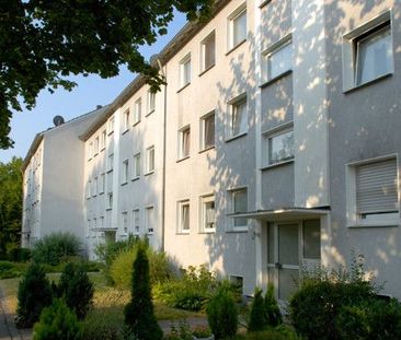 3-Zimmerwohnung mit Balkon und Tageslichtbad in Senne - Photo 3