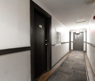54 - 56 Maitland Street — Studio - unit 104 - Photo 4