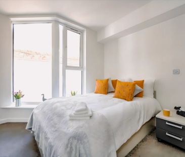 1 Bedroom, 1 Bathroom - Photo 4