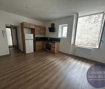 Appartement 2 pièces à louer au coeur de Blois - Photo 1